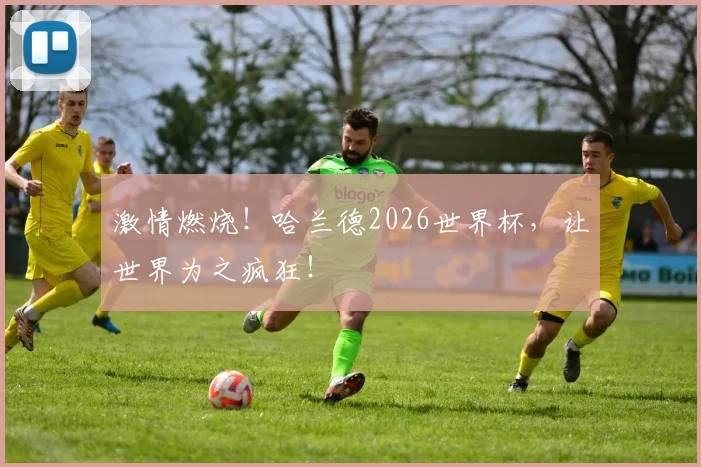 激情燃烧!哈兰德2026世界杯,让世界为之疯狂!