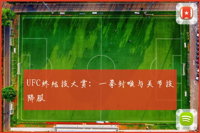 UFC终结技大赏:一拳封喉与关节技降服