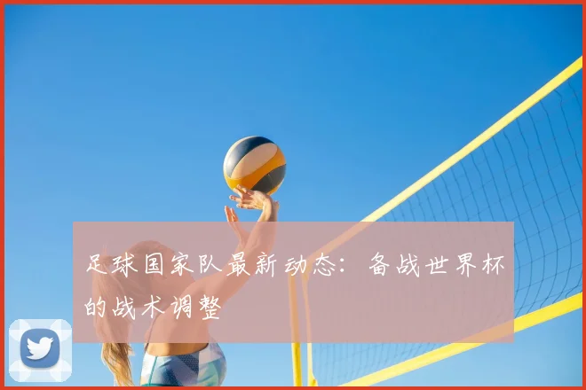足球国家队最新动态:备战世界杯的战术调整