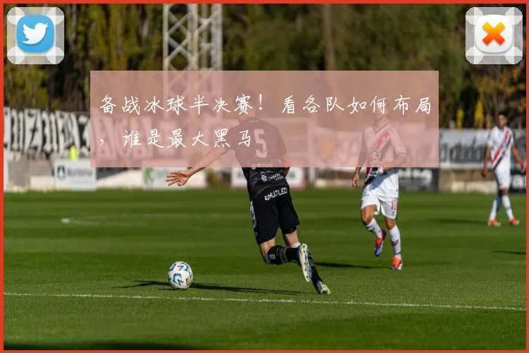备战冰球半决赛!看各队如何布局,谁是最大黑马