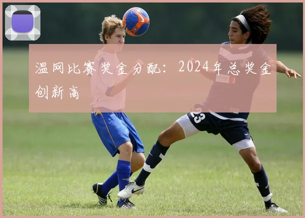 温网比赛奖金分配:2024年总奖金创新高