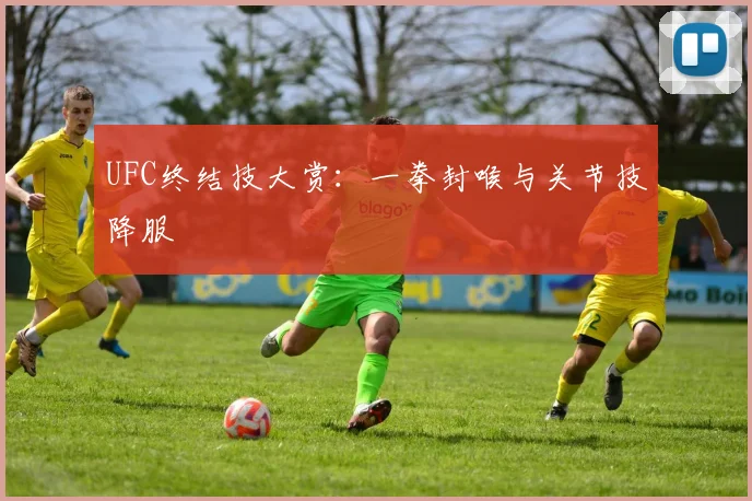 UFC终结技大赏：一拳封喉与关节技降服