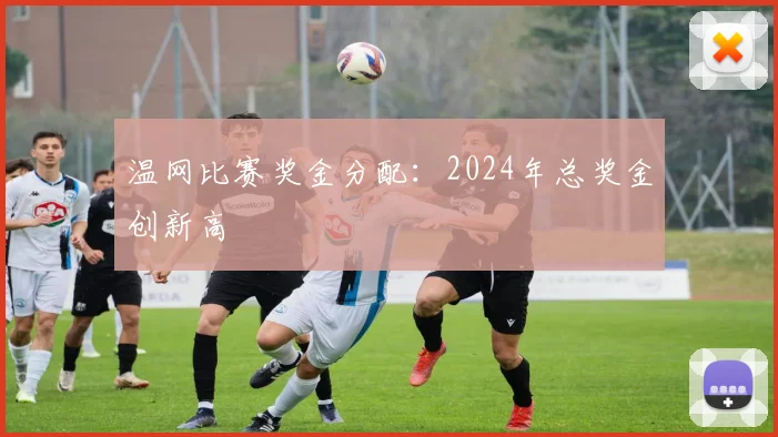 温网比赛奖金分配:2024年总奖金创新高